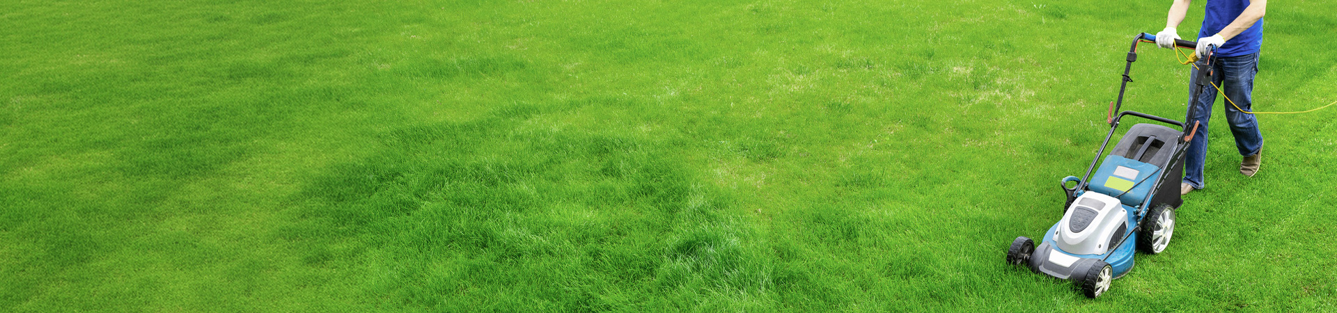 手袋をした手で芝生の雑草を抜く様子