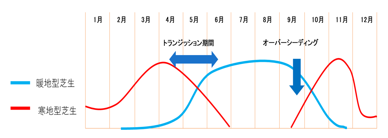 ウィンターオーバーシーディングの年間スケジュール図解