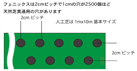 フェニックスの構造：2cmピッチで1cmの穴が約2500個あいた人工芝