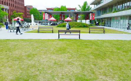 私立大学　中庭